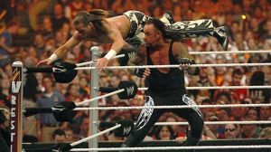 Undertaker, Shawn Michaels