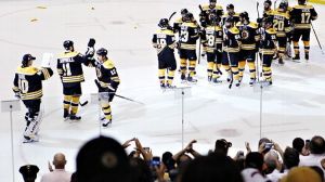 Bruins