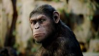 Planet of the Apes