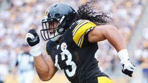 Troy Polamalu