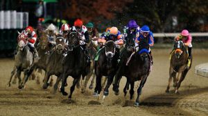 Breeders Cup