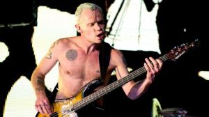 Flea