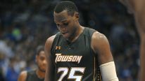 Towson Tigers