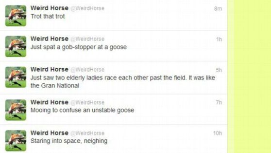 @WeirdHorse