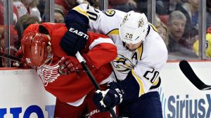 Red Wings/Predators