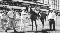 horseracing1