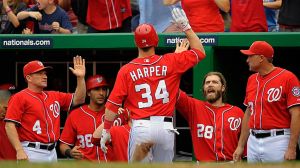 Bryce Harper 