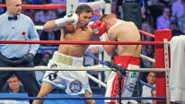 Golovkin/Proksa