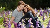 Twilight: Breaking Dawn