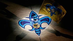 Hornets