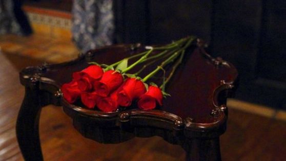 Bachelor