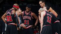 Bulls