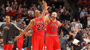 Bulls
