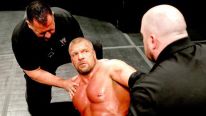 Triple H