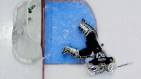 Pittsburgh Penguins goalie Tomas Vokoun