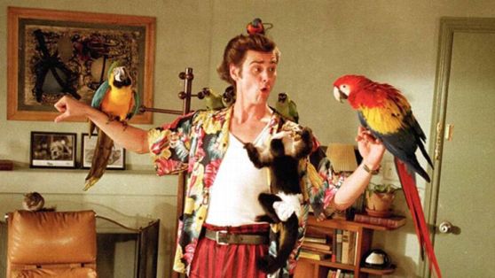 Ace Ventura: Pet Detective