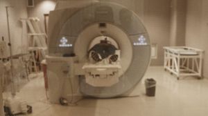 Detroit Lions quarterback Eric Hipple