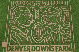 Denver Downs Corn Maze