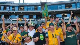 A's fans