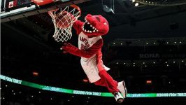 Toronto Raptors mascot