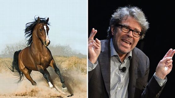 @horse_ebooks and Jonathan Franzen