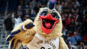 New Orleans Pelican