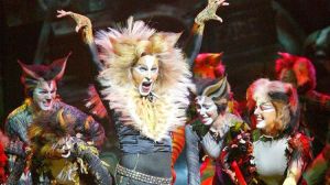 Cats