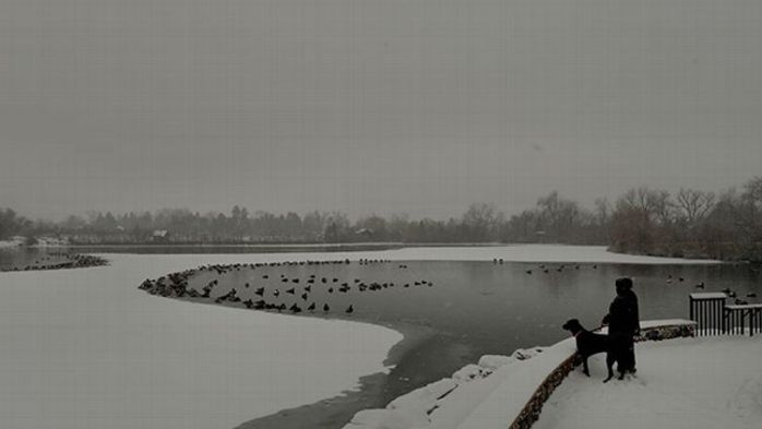 Snow