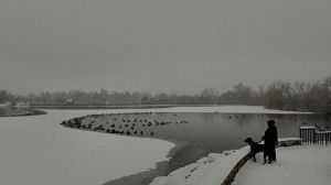 Snow