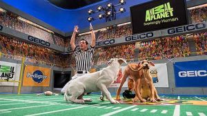 Puppy Bowl
