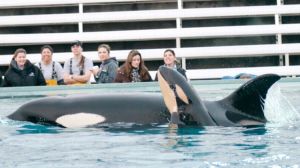 SeaWorld