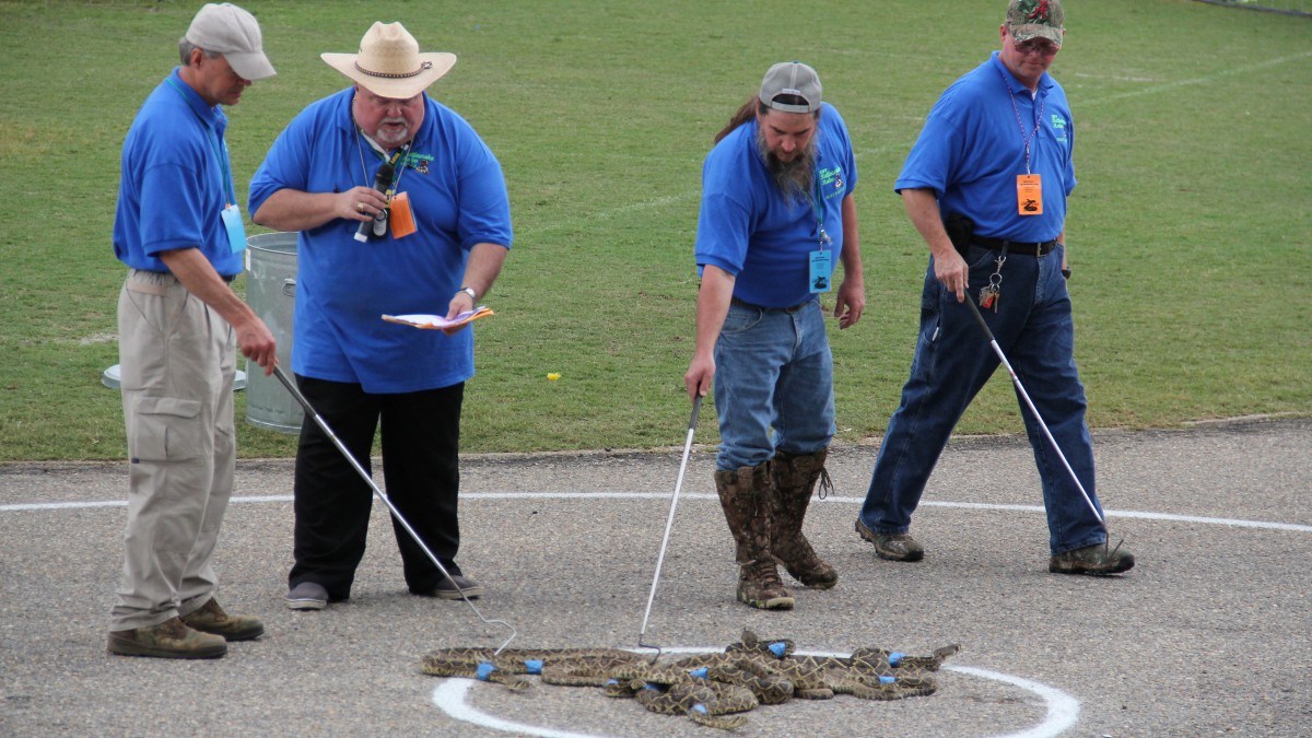 Snake Rodeo Β» Snakes on the Plains: The Strange, Surprisingly Popular World of ...